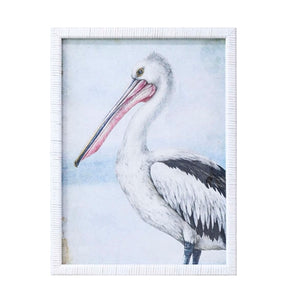 Pelican Framed Print