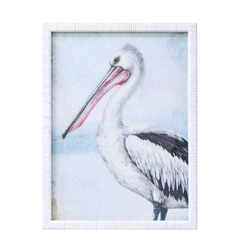 Pelican Framed Print