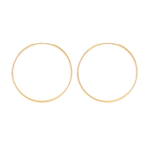 Gold Hoop Earring