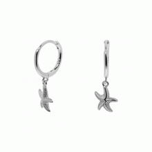 Load image into Gallery viewer, Starfish Hoop Earring