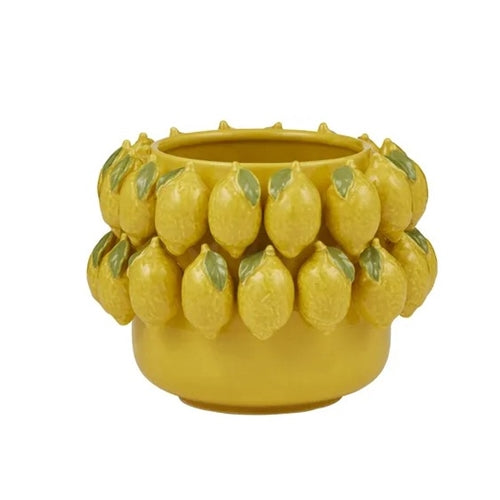 Limone Ceramic Pot