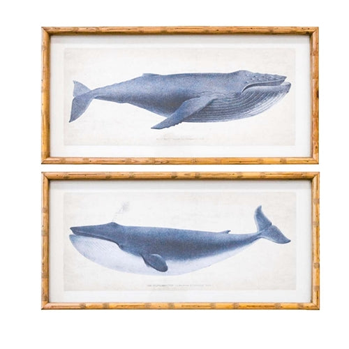 Whales Framed Print
