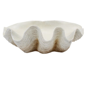 Clam Shell XL Natural