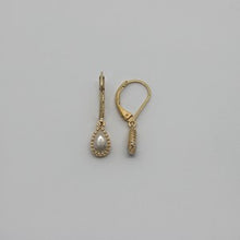 Load image into Gallery viewer, Stone Gold Filled Earring